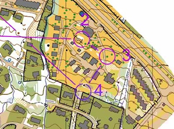 Fin 35.plass til Gaute i HL-sprint